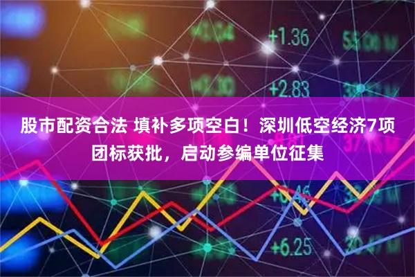 股市配资合法 填补多项空白！深圳低空经济7项团标获批，启动参编单位征集